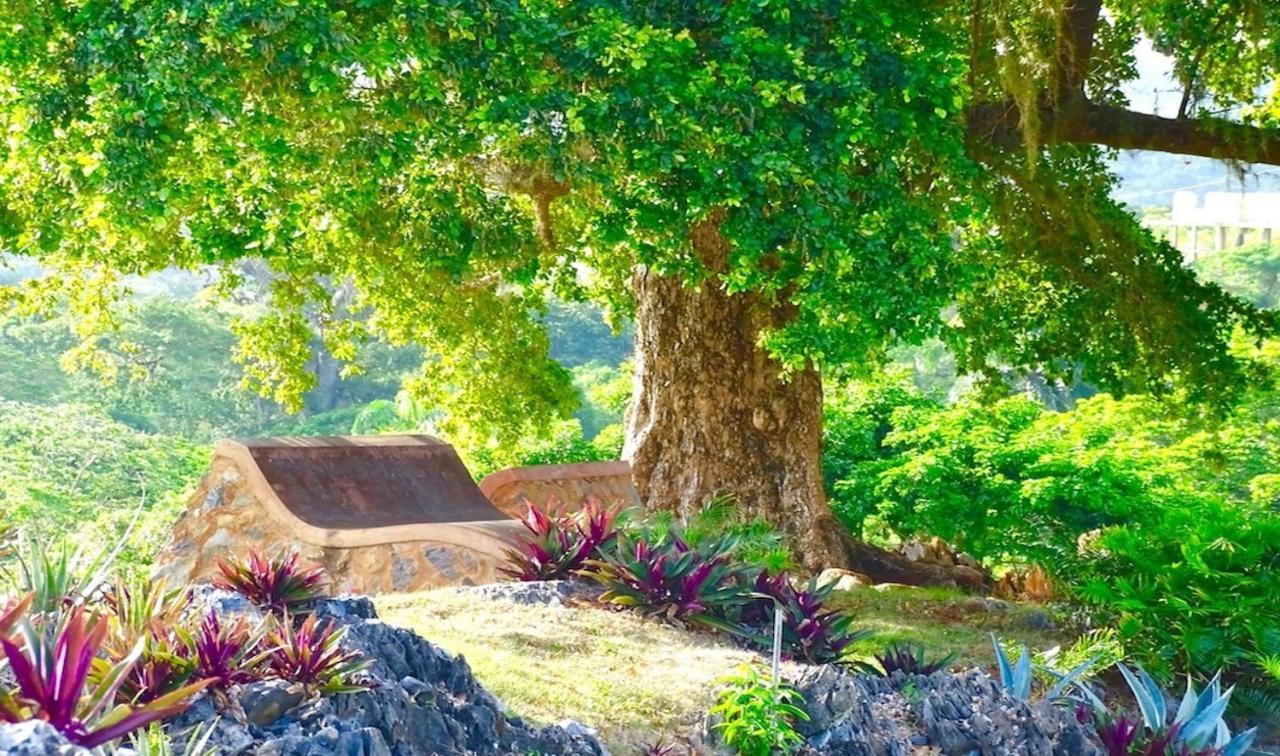 Las Galeras Village Ecolodge Extérieur photo